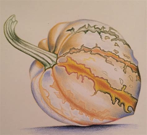 "Squash" Gourd Still Life Drawing on Behance