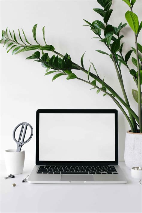 what-are-the-benefits-of-having-plants-in-the-office - Office Plants, Plant Displays & Indoor ...