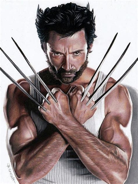 Wolverine Fanart 2 Drawing by Jasmina Susak | Fine Art America