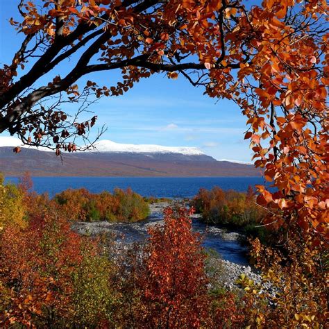 Abisko National Park - All You Need to Know BEFORE You Go (2024)