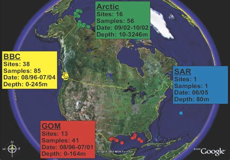 The authors used metagenomics to analyze the “viromes” of oceanic... | Download Scientific Diagram