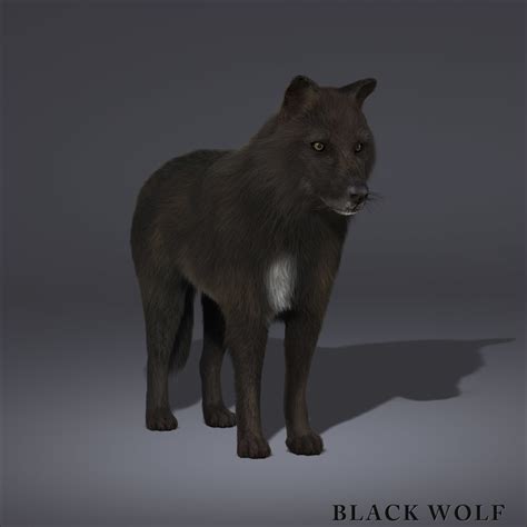 black wolf fur 3d model