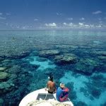 Great Barrier Reef - PRE-TEND Be curious.