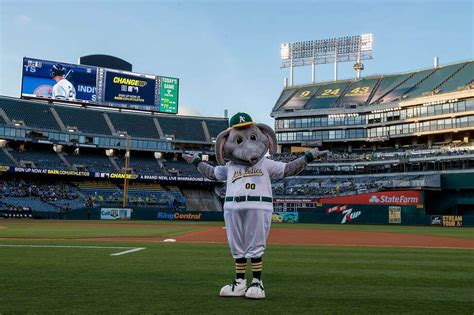 Report: Oakland A's refuse to make $1.2 million Coliseum rent payment ...