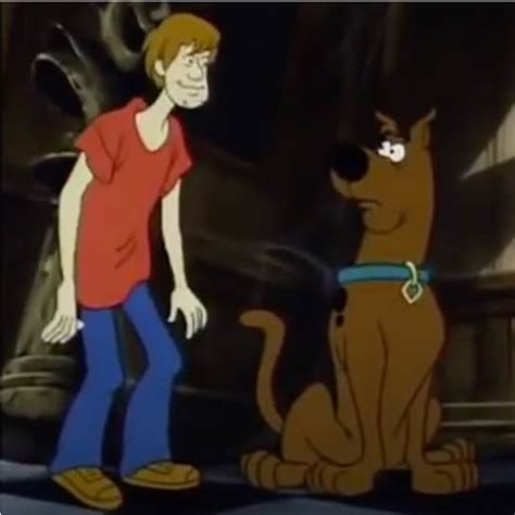 Red shirt shaggy > : r/Scoobydoo