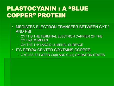 PPT - PHOTOSYNTHESIS PowerPoint Presentation, free download - ID:225892