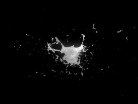 Strombolian Eruption of Initial Master Event: Five images of a... | Download Scientific Diagram