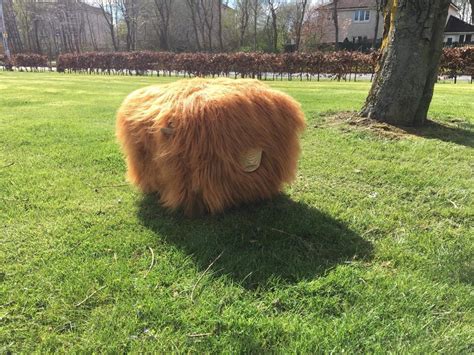 Handmade Highland Cow Footstool | in Burntisland, Fife | Gumtree