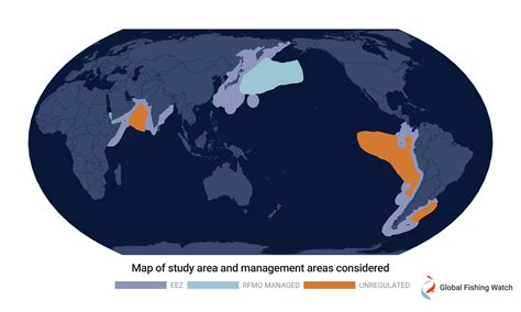 Where is your squid coming from? Most likely unregulated waters, according to a new ...