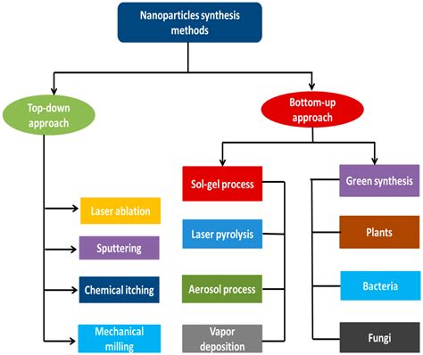 IJERPH | Free Full-Text | A Review on Plants and Microorganisms ...