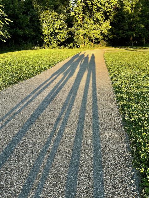 Long Shadows Photograph by Tara Henninger - Fine Art America