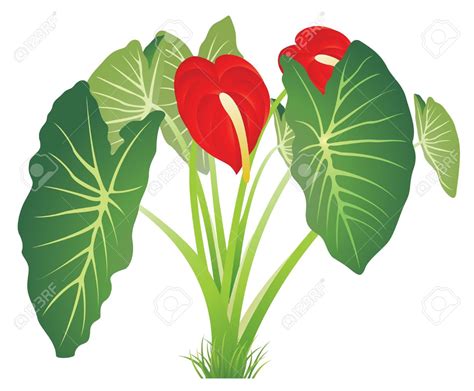 border jungle leaves clipart - Clip Art Library