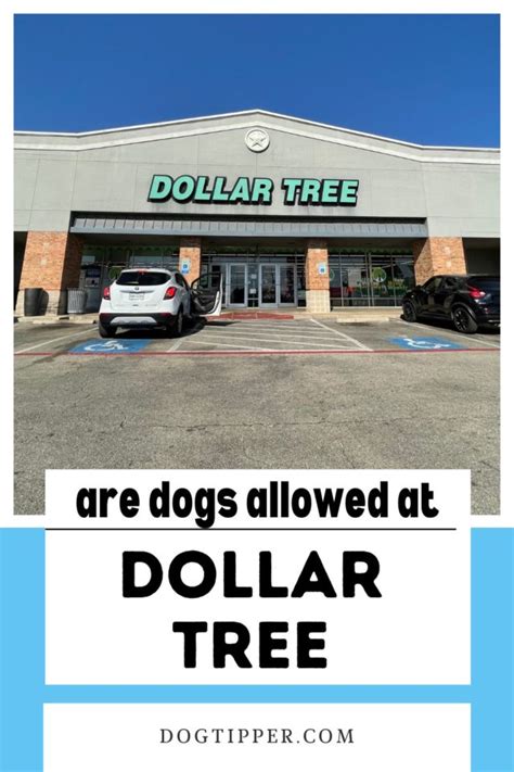 Are Dogs Allowed in Dollar Tree?