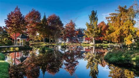 This Nelson garden is at its stunning best at this time of year, when it bursts into autumn ...