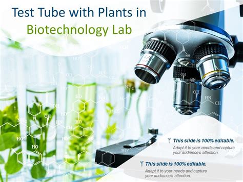 Test Tube With Plants In Biotechnology Lab | Graphics Presentation ...