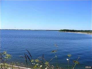 Abberton Reservoir Nature Reserve, Colchester, Essex.