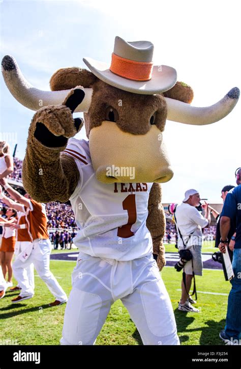 October 3rd, 2015:.Texas Cheer Team & Texas Longhorn Mascot, Hookem ...