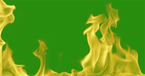 Free Fire Green Screen