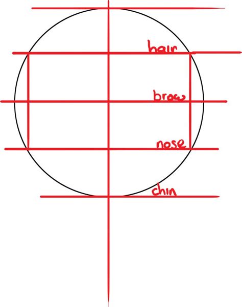 Check out ART CRITIQUE CENTER | Andrew loomis, Art basics, Head proportions