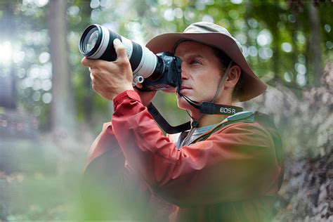 Wildlife Photography tips - Photo Review