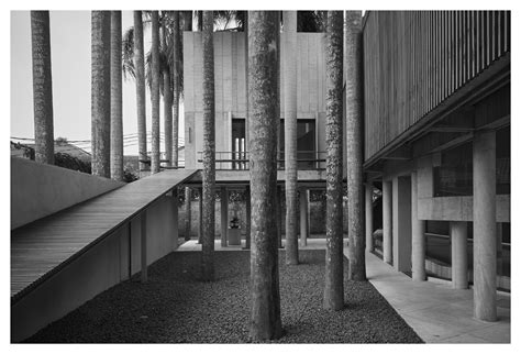 MARTIN WESTLAKE: Palm House - architect Andra Matin