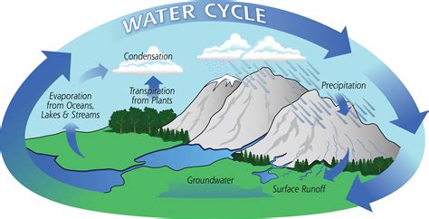 The Water Cycle | Precipitation Education