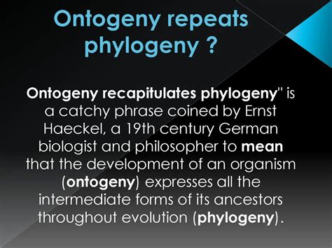 Haeckel-muller biogenetic law - презентация онлайн