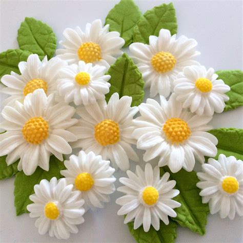 White Daisies Edible Sugar Flowers Cake Decorations | Flower cake decorations, Daisy decorations ...