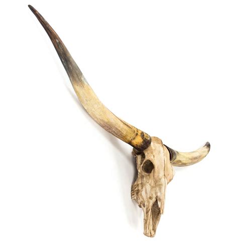 Texas Longhorn Steer Skull Rustic Lodge Reproduction Wall Mount Sculpture