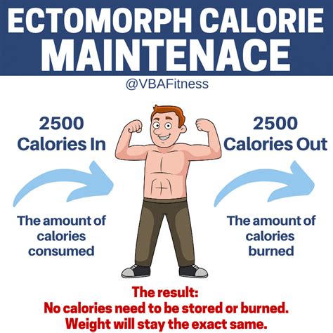 The Best Ectomorph Diet For Skinny, Frustrated Lifters