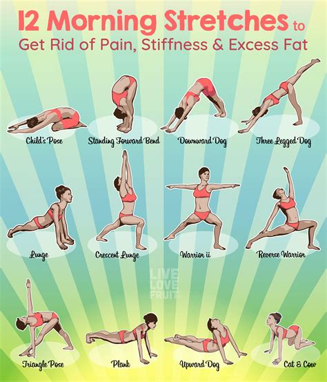 22 Stretching Exercises Infographics for Better Flexibility