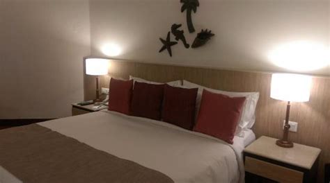 ROOM NO.233 - Picture of Holiday Inn Resort Goa, Cavelossim - Tripadvisor