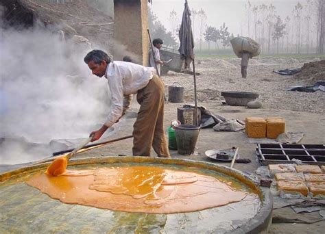 Sugarcane farmers take to jaggery production in Gwalior | TopNews