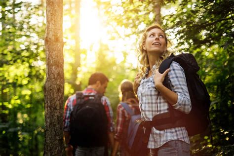 Best Hiking Trails in Algonquin Provincial Park - Nomi Resort