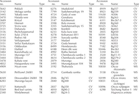 List of traditional rice varieties (TR), cultivated varieties (CV),... | Download Scientific Diagram