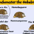 Definition of Hibernation and Examples of Hibernating Animals - Sinaumedia