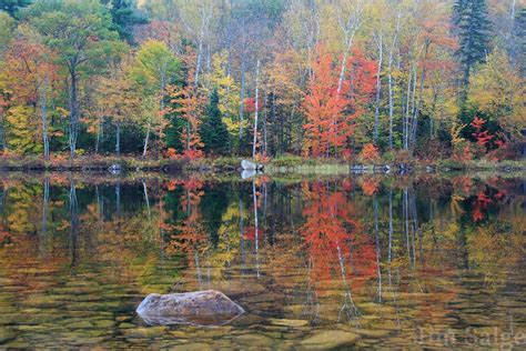 How to Take Your Best New England Fall Foliage Photos - New England Today