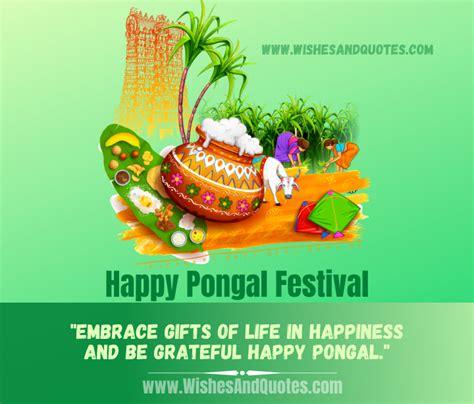 Pongal 2024: Wishes, Quotes, SMS, Messages, Status, Shayari, Greetings