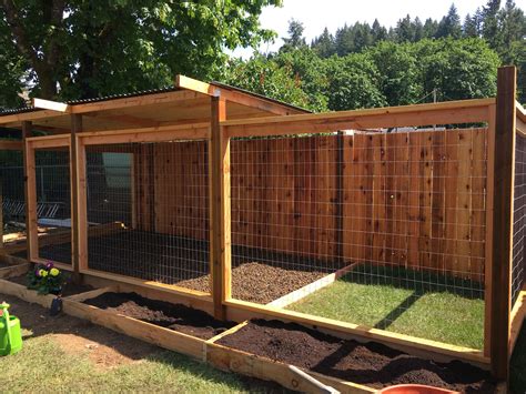 Outdoor Cat Kennels And Runs at Connie Lechuga blog