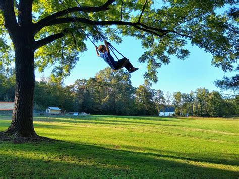 Piedmont Tree Climbing (PTC): Tree Swing Installation