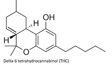 A New High - Cannabis Business Times