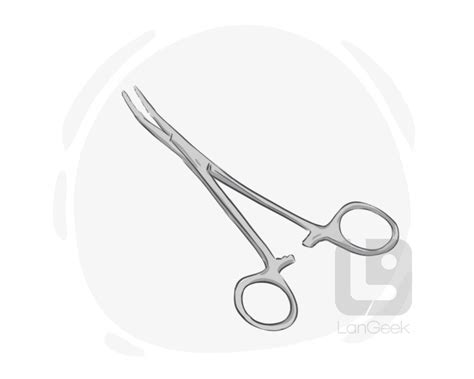 Definition & Meaning of "Forceps" | LanGeek