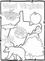 West Virginia Coloring Sheets Pages sketch template
