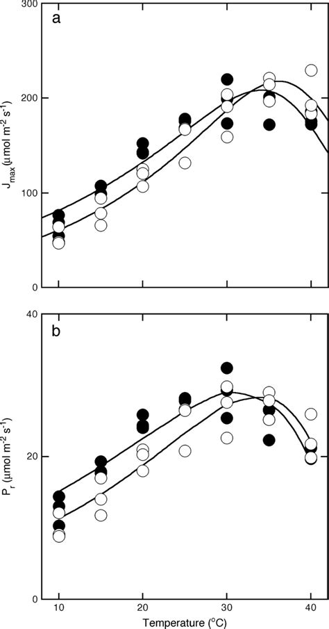 Relationship between RuBP regeneration-limited photosynthesis and leaf ...