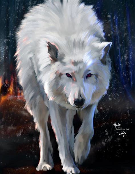 Game of Thrones Dire Wolf Wallpapers - Top Free Game of Thrones Dire Wolf Backgrounds ...