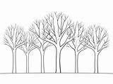 Leafless Tree Coloring Page  sketch template
