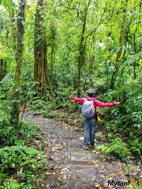 Santa Elena Cloud Forest Reserve: The Cloud Forest Guide | Clouds, Forest, Beautiful places to visit