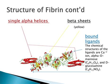 PPT - FIBRIN PowerPoint Presentation, free download - ID:2038661