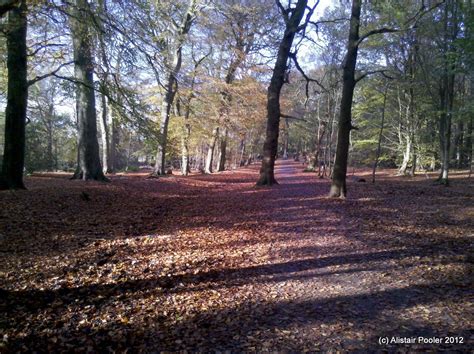 Alistair's Walks: A Wizard Walk at Alderley Edge