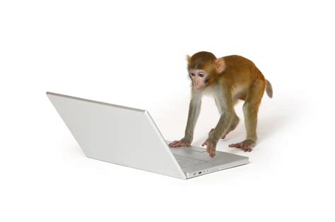 monkey_typing_jonk1 - J.H. Moncrieff